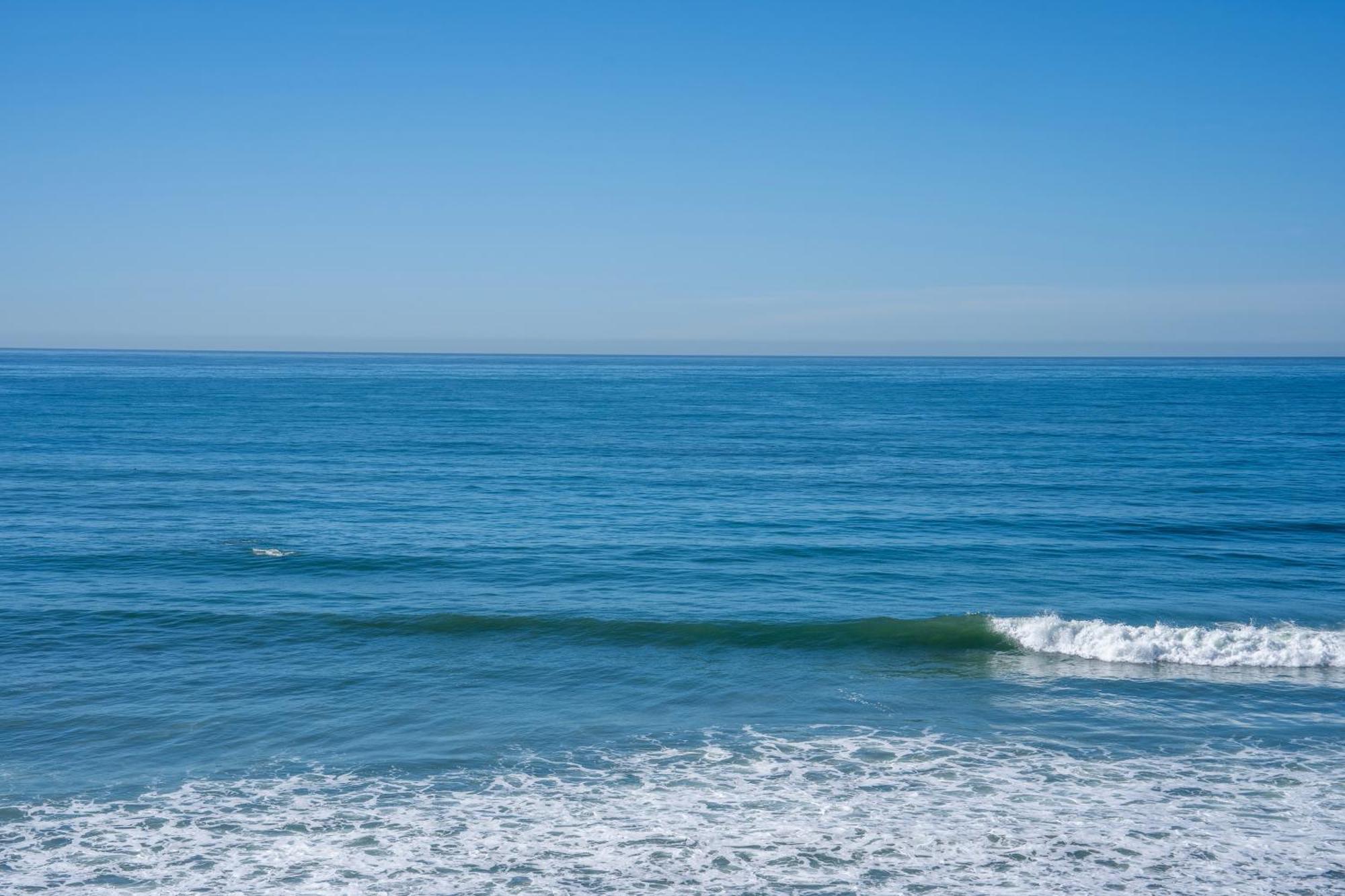 Beachfront Breathtaking 1 Bedroom Apt Tijuana Exterior foto